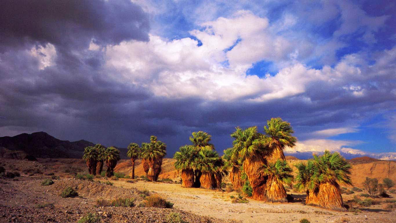Nice Picture Collection Of Desert Allfreshwallpaper